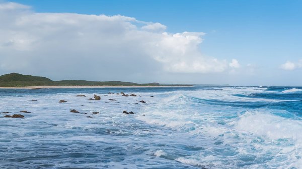 Which castles in Wales offer interactive medieval tournaments for visitors?