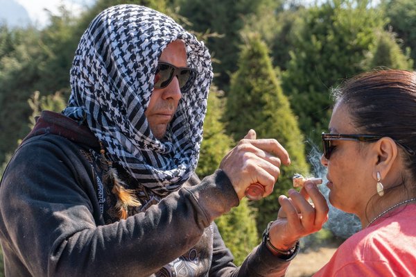 Which gardens in Cornwall offer guided tours focusing on medicinal herbs?