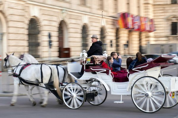 What are the best opportunities for horse-drawn carriage rides in rural England?